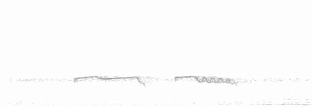 Дрімлюга гірський (підвид poliocephalus) - ML142429991