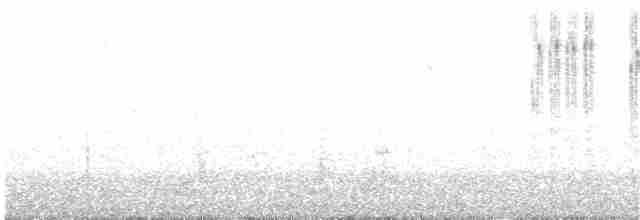 Safir Gerdanlı Kolibri - ML142526271