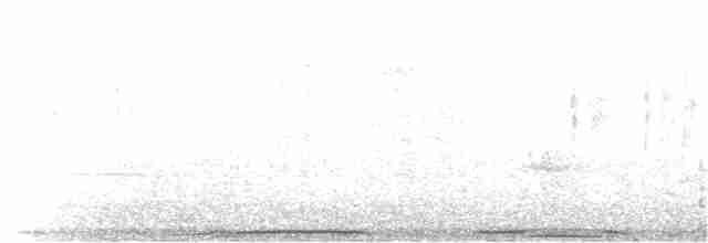 カワラバト（ドバト、家畜型） - ML142699661