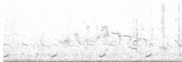 白腹秧雞 - ML142717441