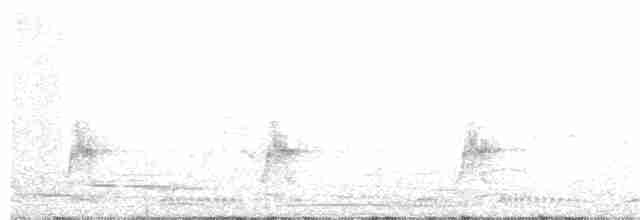 Nasenstreif-Honiganzeiger [minor-Gruppe] - ML142735281