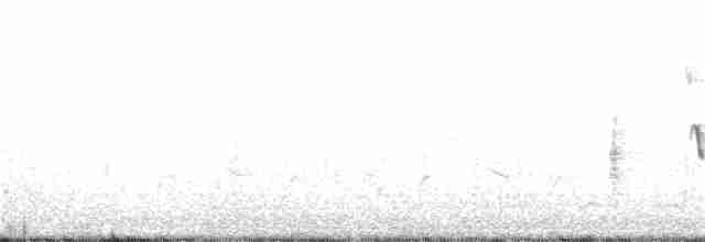 Каролинский крапивник - ML142834521