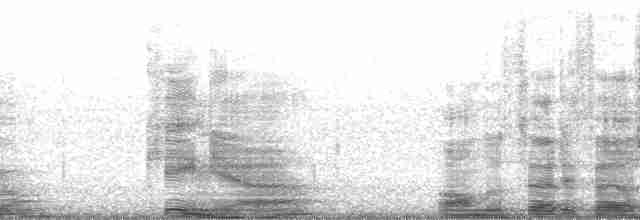 Gray Wren-Warbler - ML14321