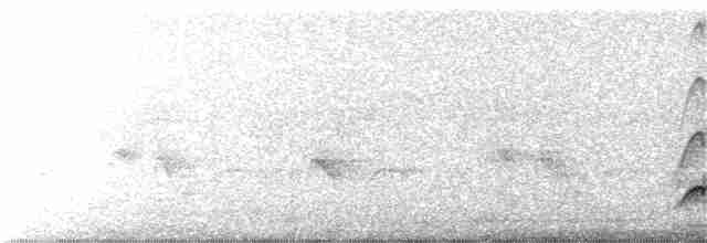 Brown-crested Flycatcher - ML143215321