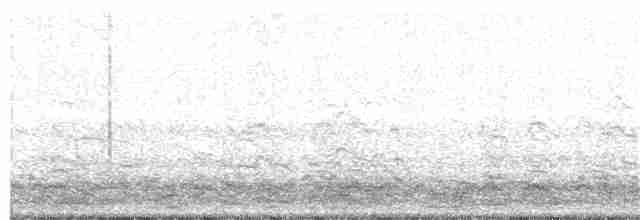 אווז לבן-מצח - ML143280031