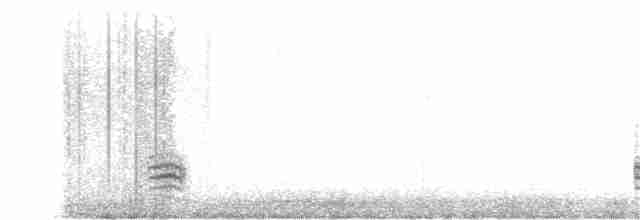 Weißbrustkleiber - ML143392551