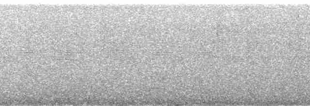 Surukua Trogonu (surrucura) - ML143526