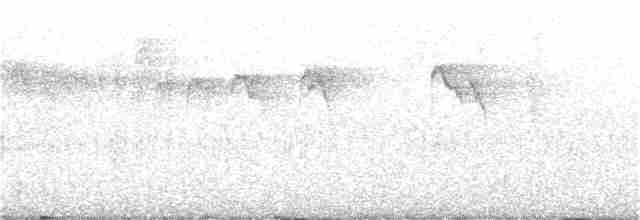 Серпокрилець-вилохвіст малий - ML143588471