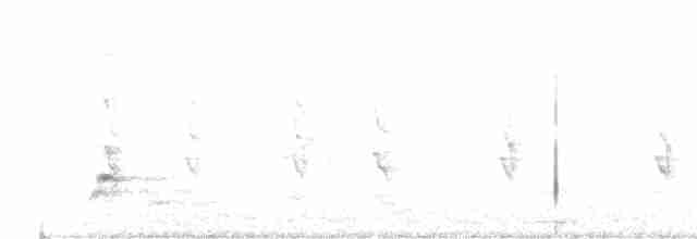 White-plumed Honeyeater - ML143655821