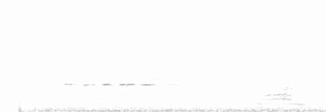 Розела білогорла - ML143655931