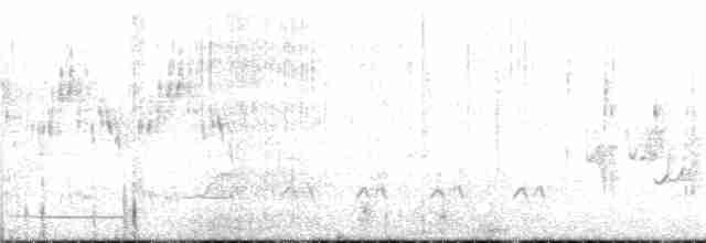 ハジロオーストラリアムシクイ（leuconotus） - ML143709391