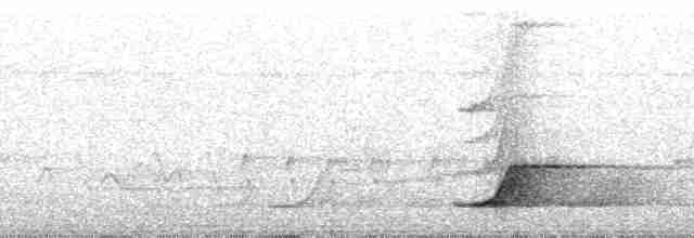 Pale-browed Tinamou - ML143809