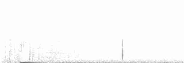 褐林鴞 - ML143811341