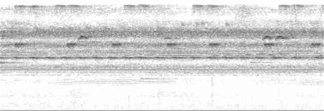 Малая чачалака (ruficeps) - ML143844821