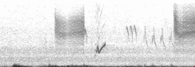 黃頭扇尾鶯 - ML14386