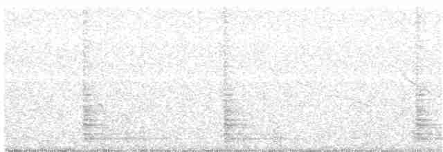 Tinamou des Andes - ML143872061