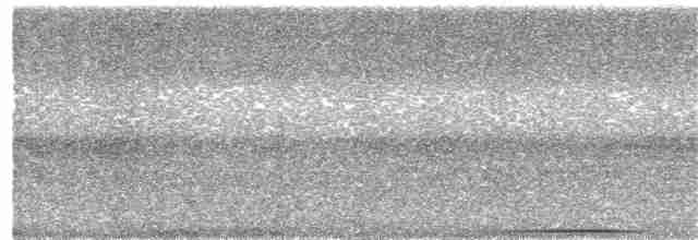 Белозобая перепелиная горлица - ML143897241