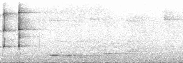Бурогрудый тоди-тиранн - ML143946