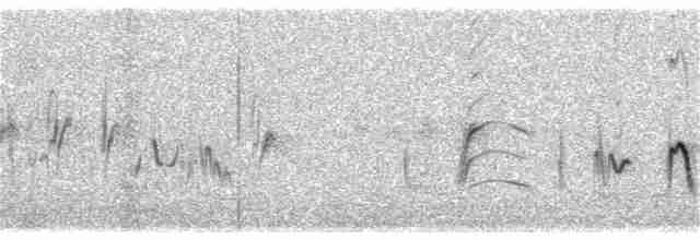 Cape Clapper Lark (Agulhas) - ML143990161