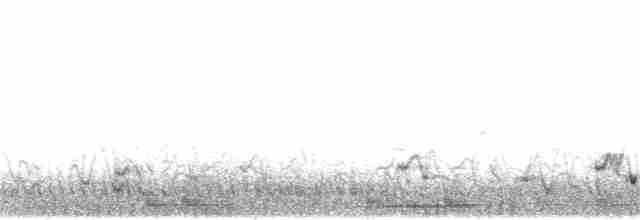 Namaqua Dove - ML143992131