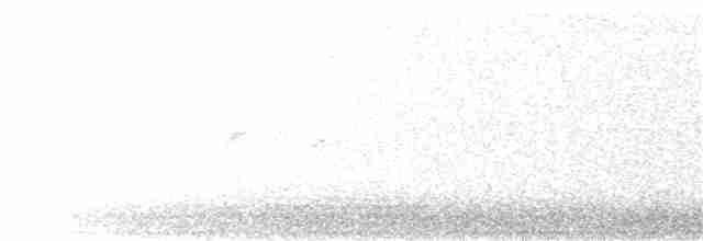 White-backed Woodpecker - ML144005241