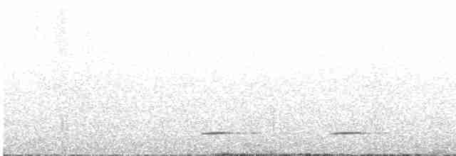 黃嘴角鴞 - ML144032301