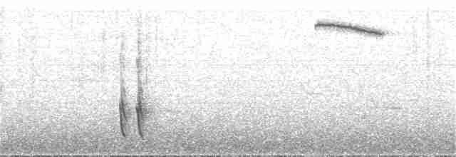 Turuncu Ardıç - ML144071511