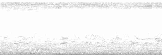 Clamorous Reed Warbler - ML144164971