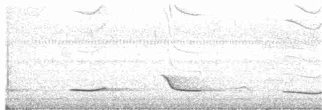 Oriole d'Audubon - ML144184461
