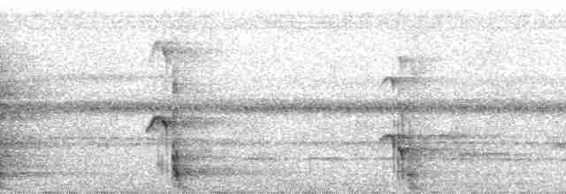 Surukua Trogonu (surrucura) - ML144234
