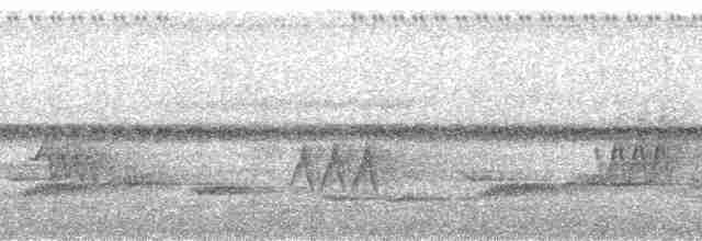 Surukua Trogonu (surrucura) - ML144316