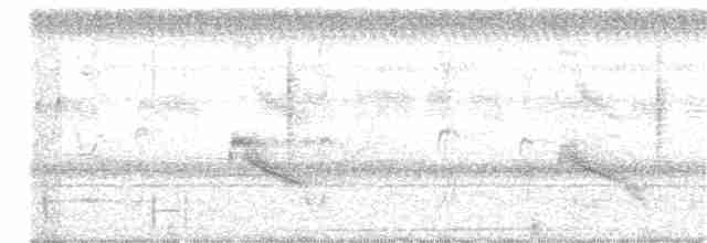 Cinereous Tinamou - ML144326701