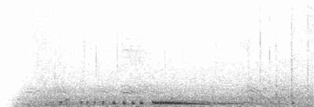 Rock Pigeon (Feral Pigeon) - ML144329351