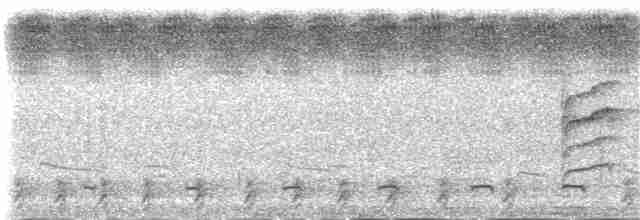 African Gray Hornbill - ML144549091