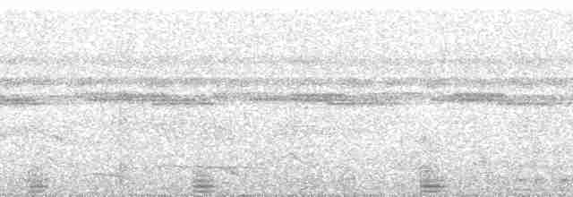 Амазонская пенелопа (granti) - ML144557