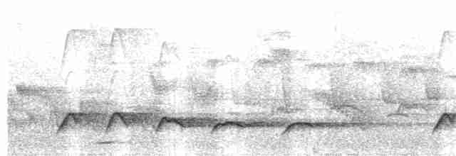 Зозуля-довгохвіст гірська - ML144704611