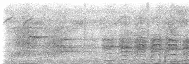 Кратеропа чорноголова (підвид reinwardtii) - ML144763981