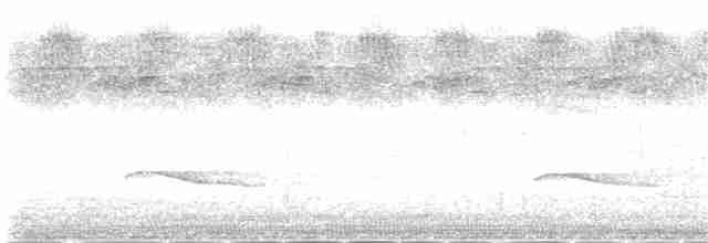 Vinaceous Dove - ML144776601
