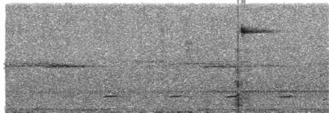 Сичик-горобець світлоголовий - ML144827751
