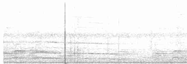 Банкивский петух (Одомашенного вида) - ML144832351