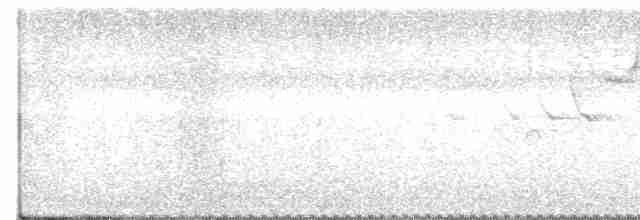 Flankenfleckenspelzer - ML144837681
