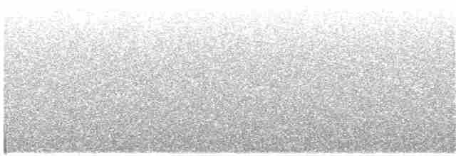 Gray Tinamou - ML144873031