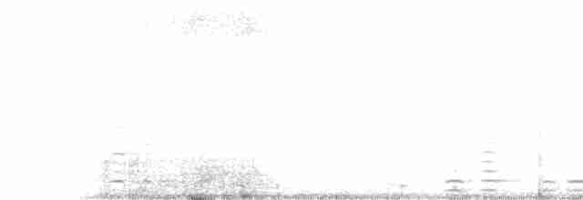 Cisne Trompetero - ML144932141