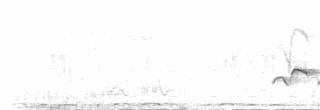 Kuzeyli Drongo Sinekkapanı - ML144956471