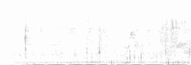 Сероголовый воробей - ML144961371