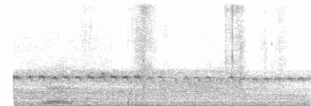 Голкохвіст сірочеревий - ML144991121