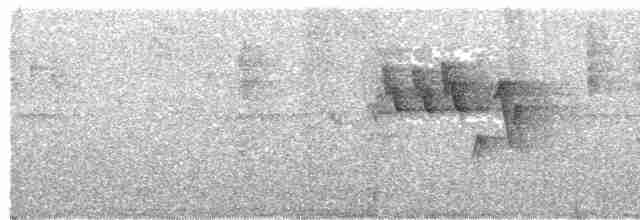 Slate-throated Redstart - ML144994501