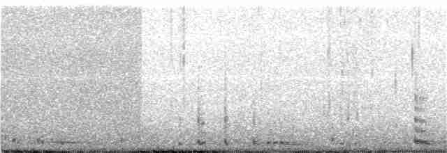 Tundra Swan (Whistling) - ML145028271