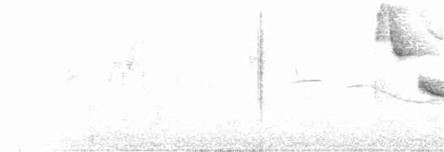 Turuncu Gagalı Bülbül Ardıcı - ML145034751