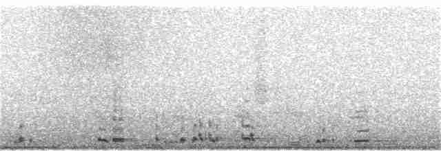 Cygne siffleur - ML145052081